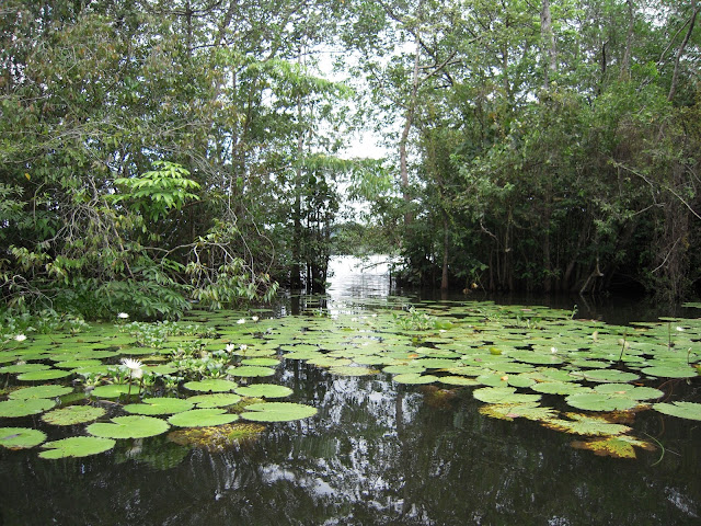 RACÓ VIATGER de Mariló: GUATEMALA: Rio DULCE