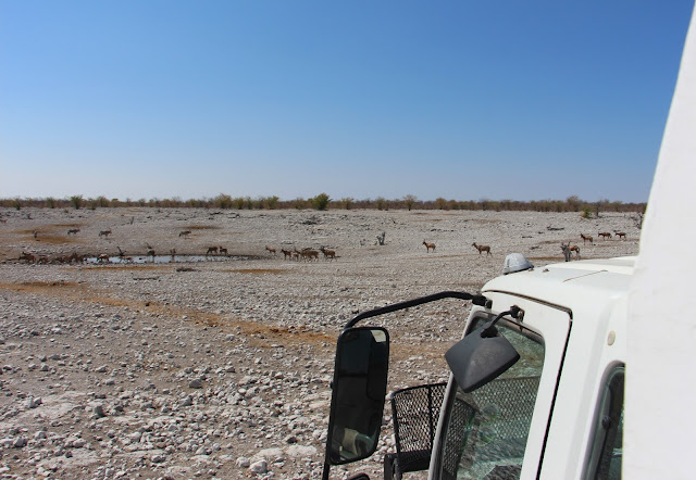 Parque Nacional de Etosha (NamĂbia)