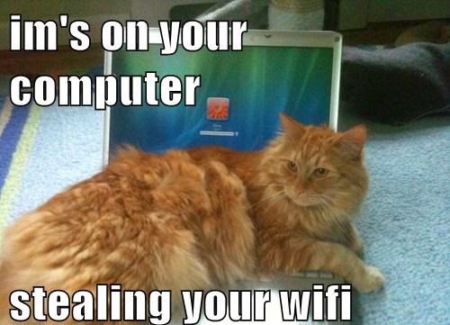 dGeneralist: Cats Will Hack Your WiFi