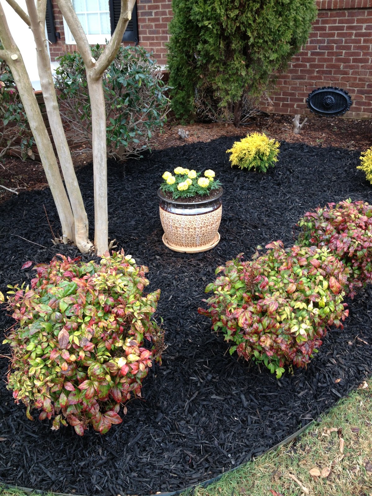 THINK MAKE LIVE LOVE: FRESH LANDSCAPING AND BLACK MULCH