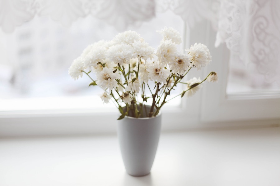 Flores naturales en un tarro