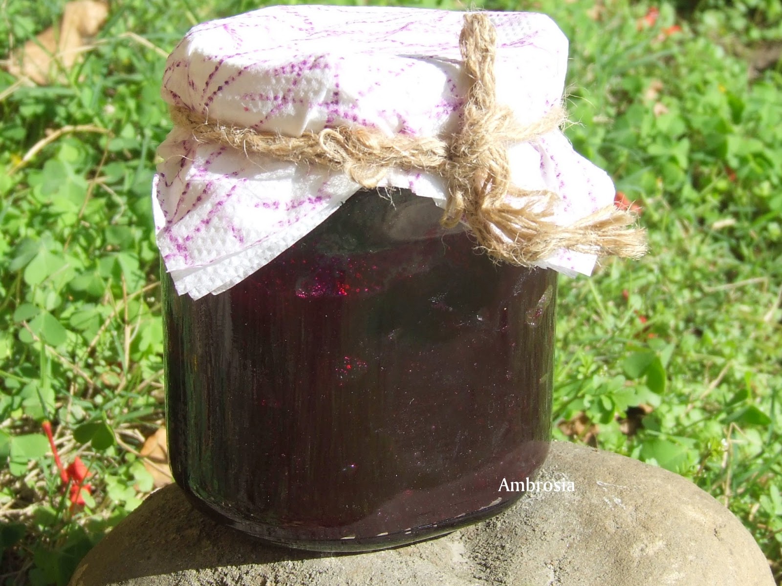 BEET ROOT JAM Ambrosia