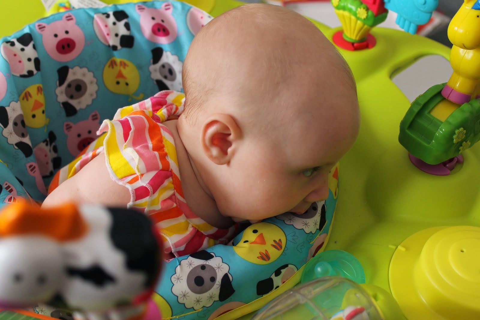 PKU Marigold 10 Things parents of PKUers are tired of hearing...