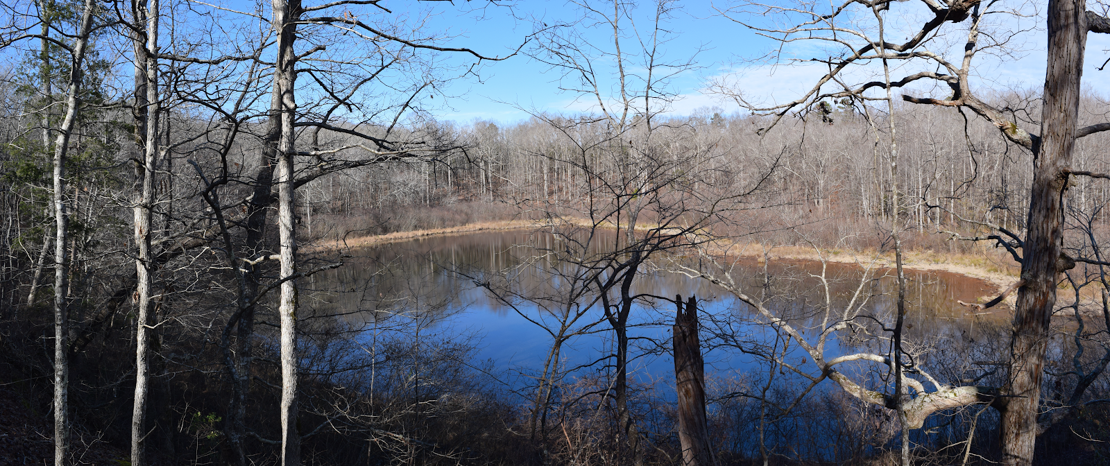 Baker's Pond Trail in Holly Springs National Forest