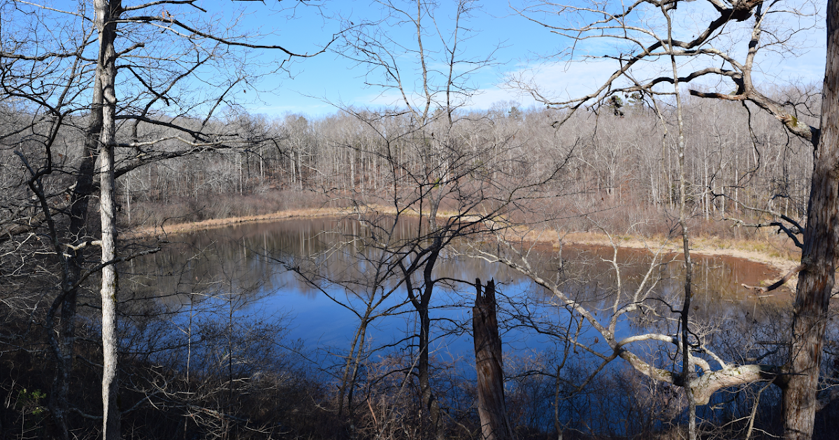 Baker's Pond Trail in Holly Springs National Forest