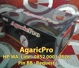 Obat Herbal AgaricPro untuk Mengatasi Bronkitis pada Anak Bayi