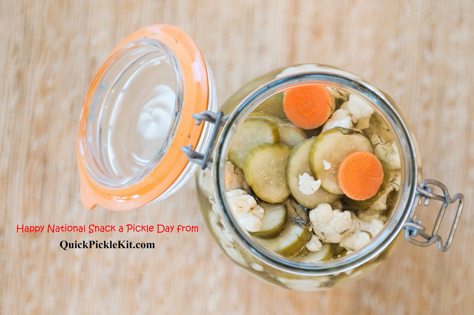 Quick Pickle Kit Happy National Snack a Pickle Day from the Quick