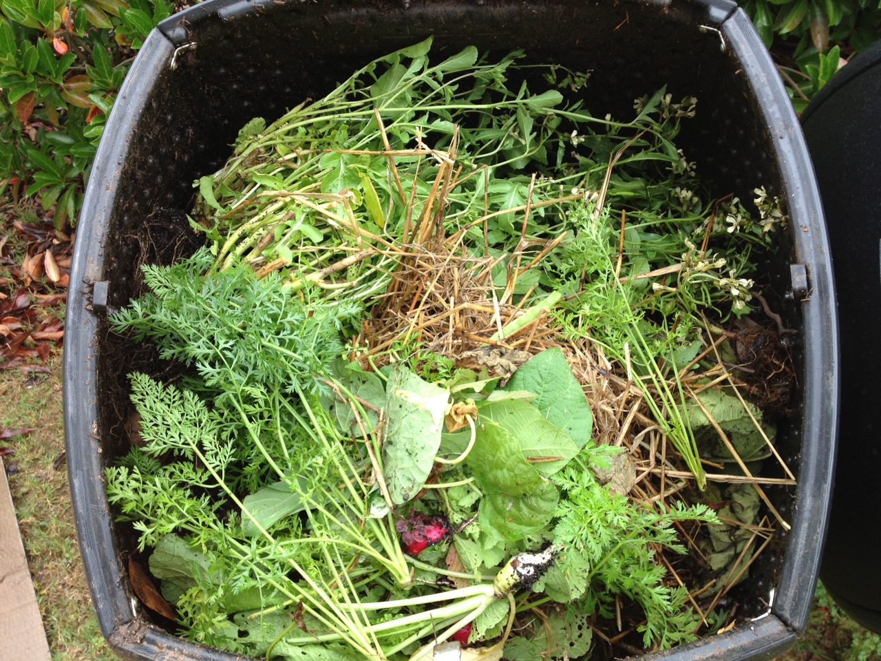 Composter Full Observations on the New Vegetable Garden