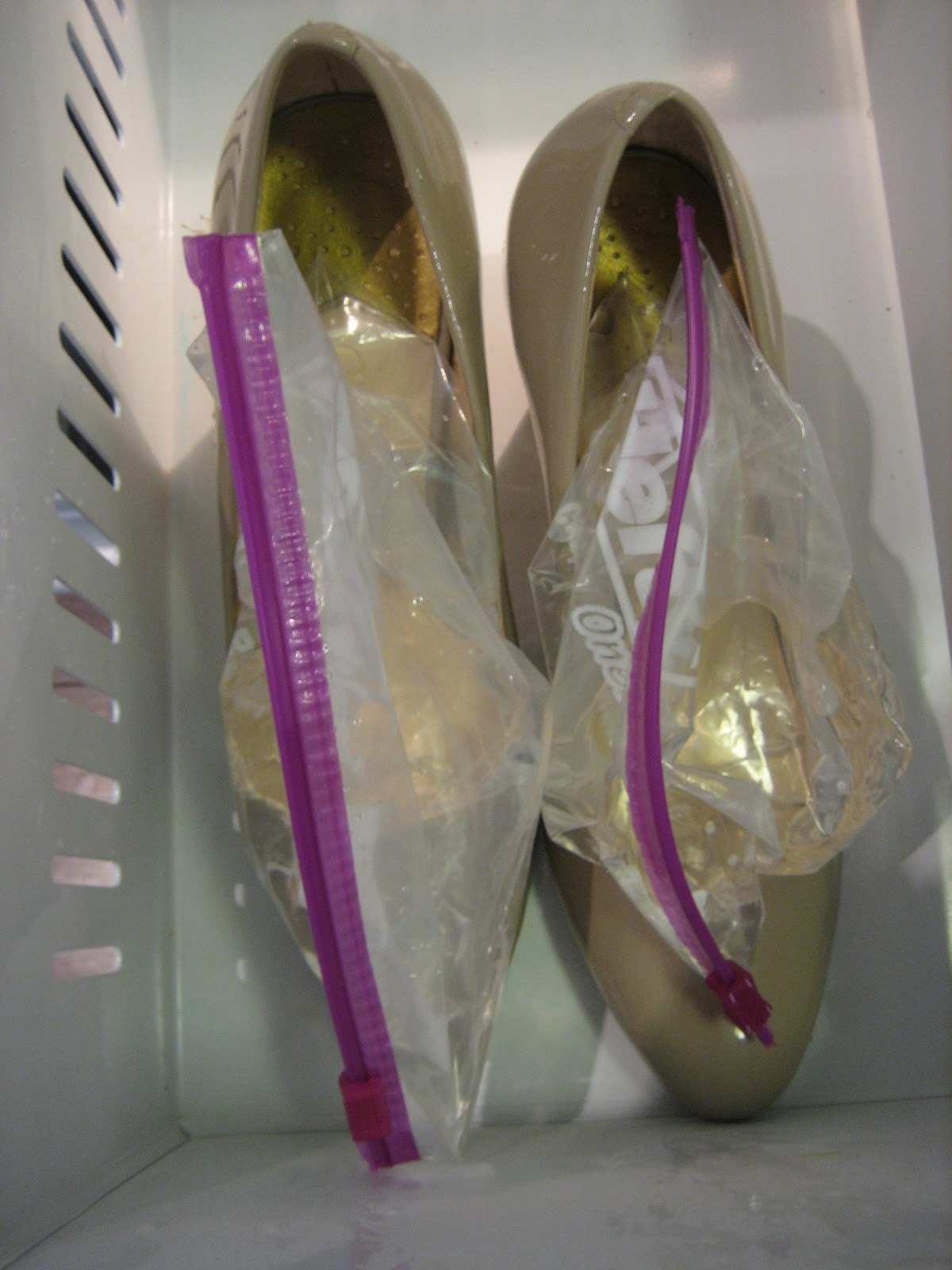 Navy Bean Stretch Shoes with Ice