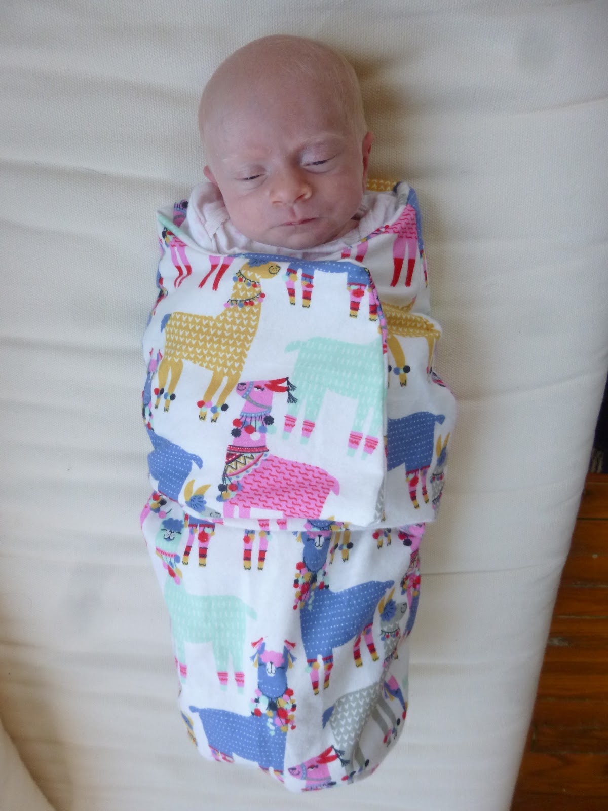 Made by Theresa Baby snuggler