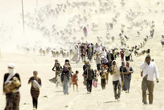 صورة
