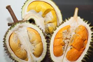 Buah Paling Bau di Dunia ( Durian )