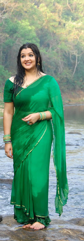 Actress Aarthi Agarwal Stills Gallery sexy stills
