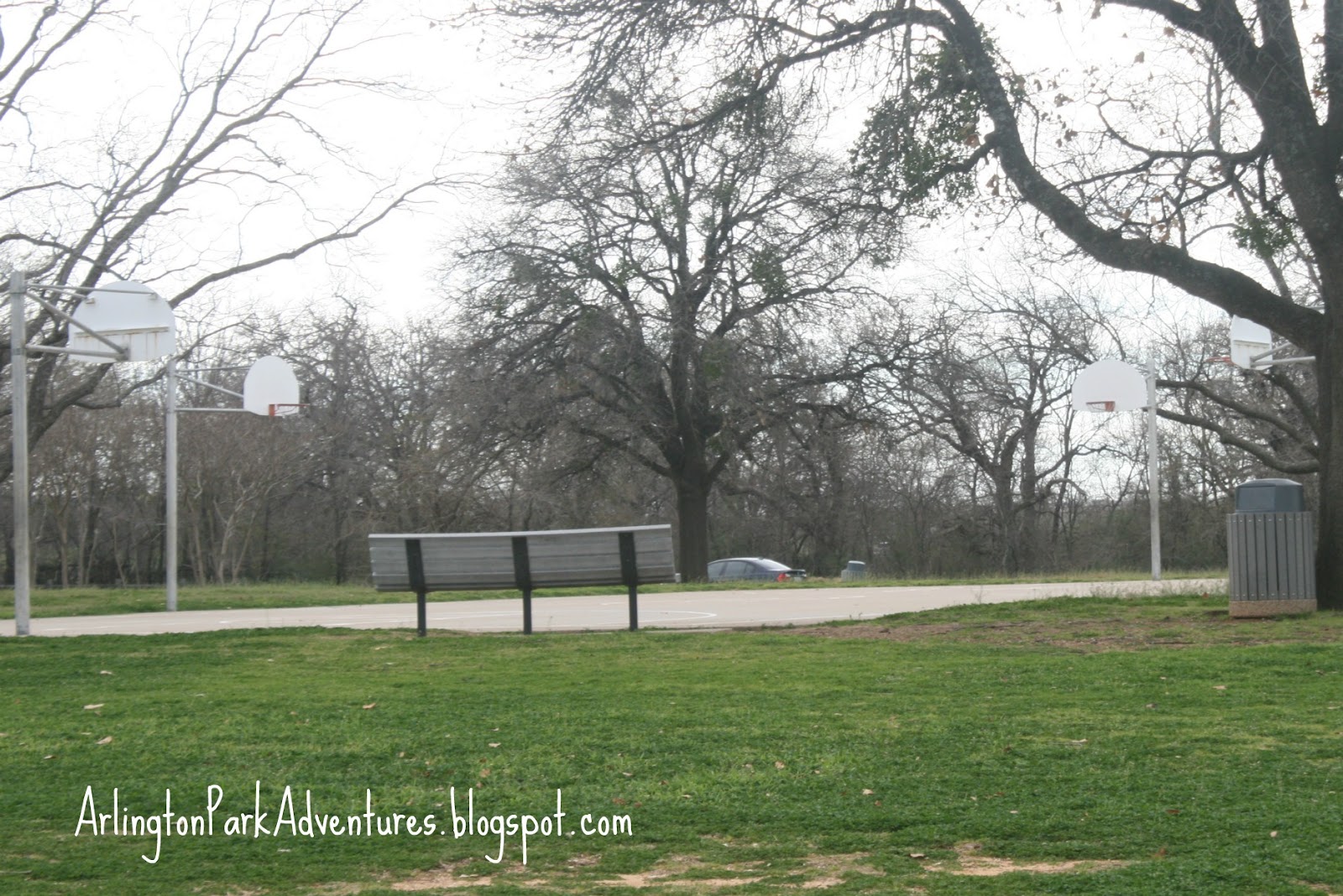 Arlington Park Adventures FJ 'Red' Kane Park