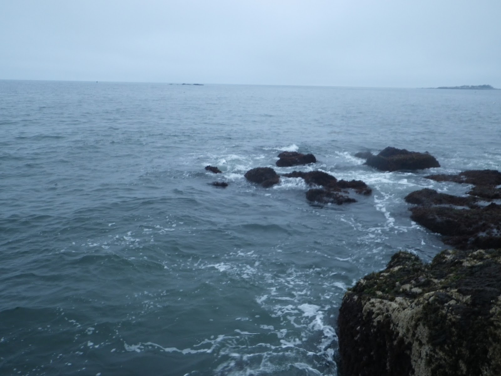 New England Striper Fishing