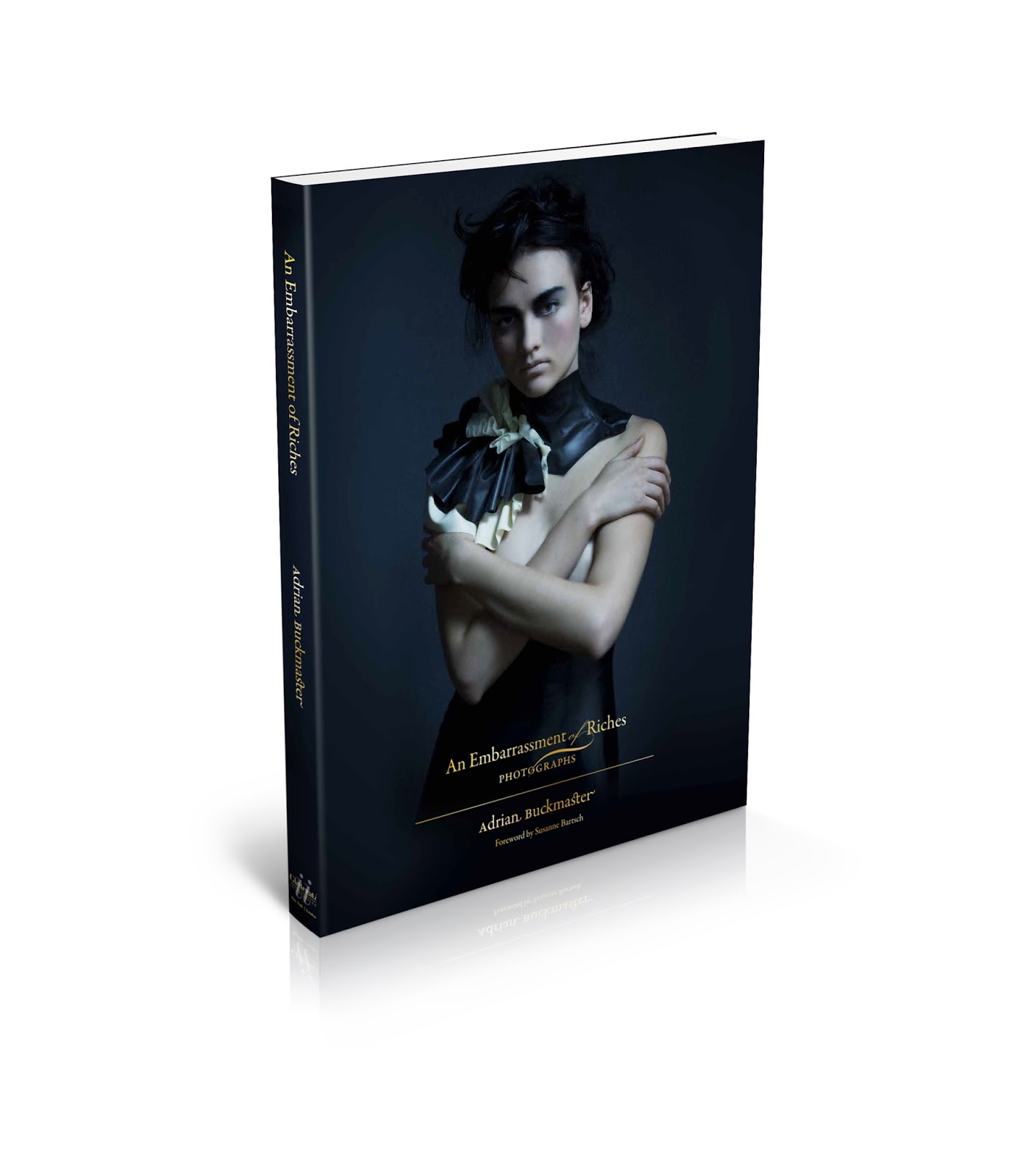 From a Yellow House : Book Spotlight: An Embarrassment of Riches