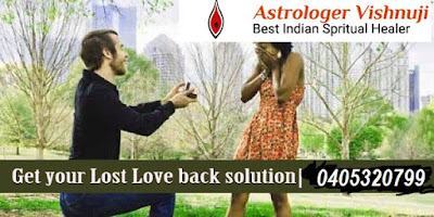 http://www.astrologervishnuji.com/