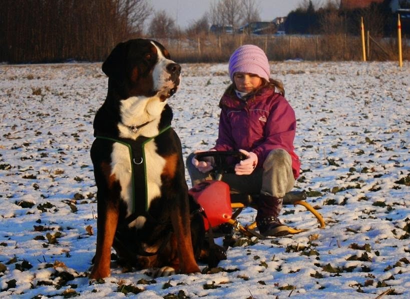 filmiņa ar Rammsteinu galvenajā lomā