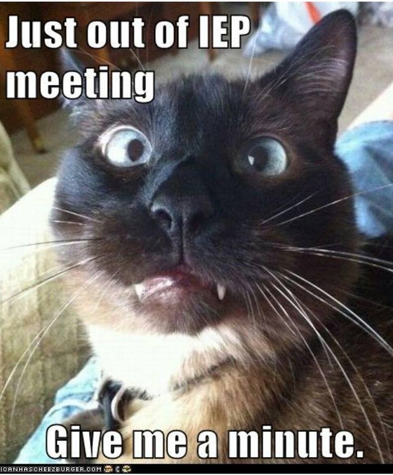 IEP Meetings
