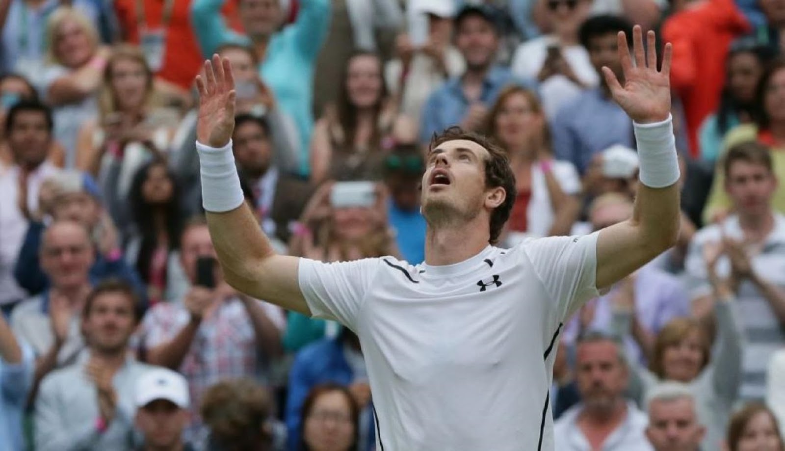 ANDY MURRAY 8