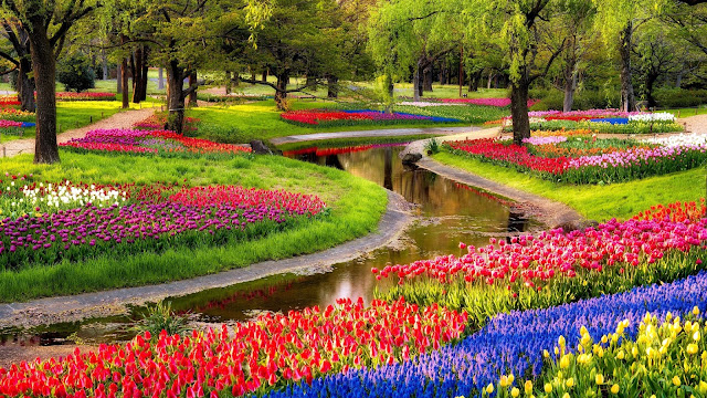 Park met bloemen in alle kleuren