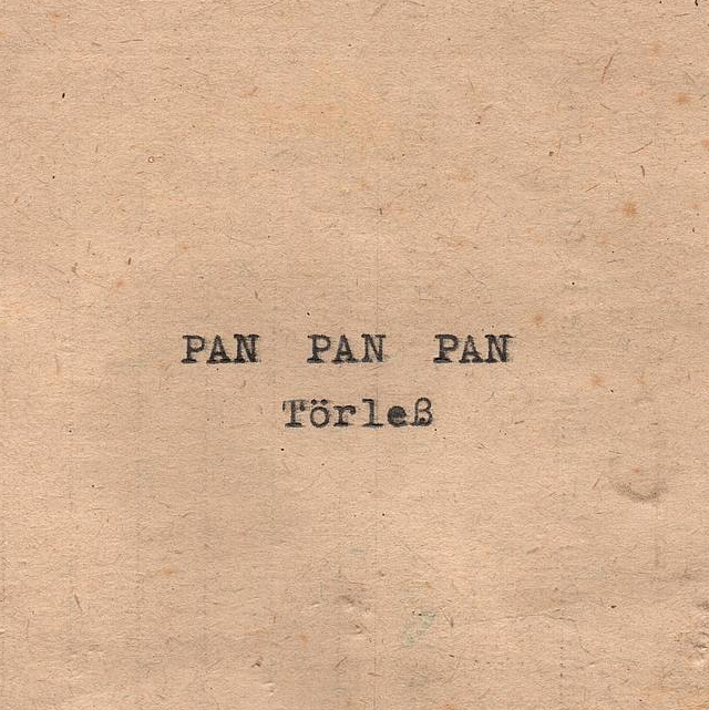 Haubentaucher Archiv 2017