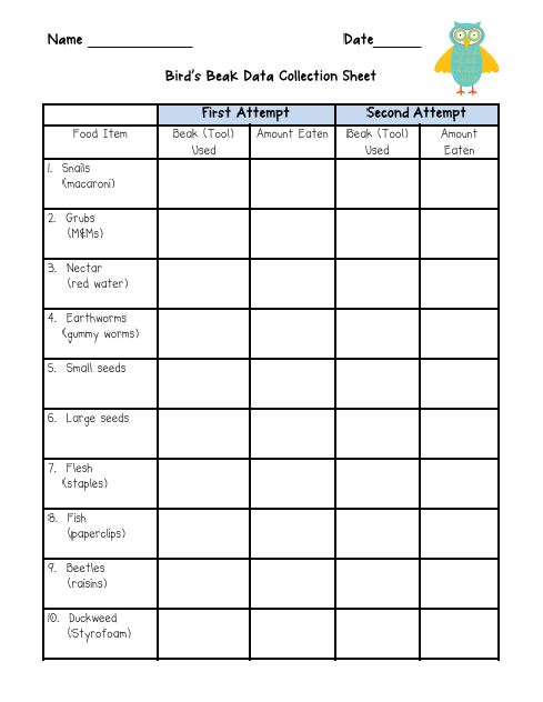 animal-classification-activity-worksheets-animal-classification