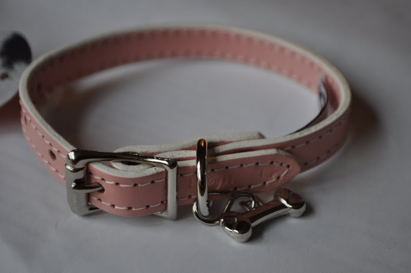 Positively Peaches Dog Collar Boutique {Product Review}