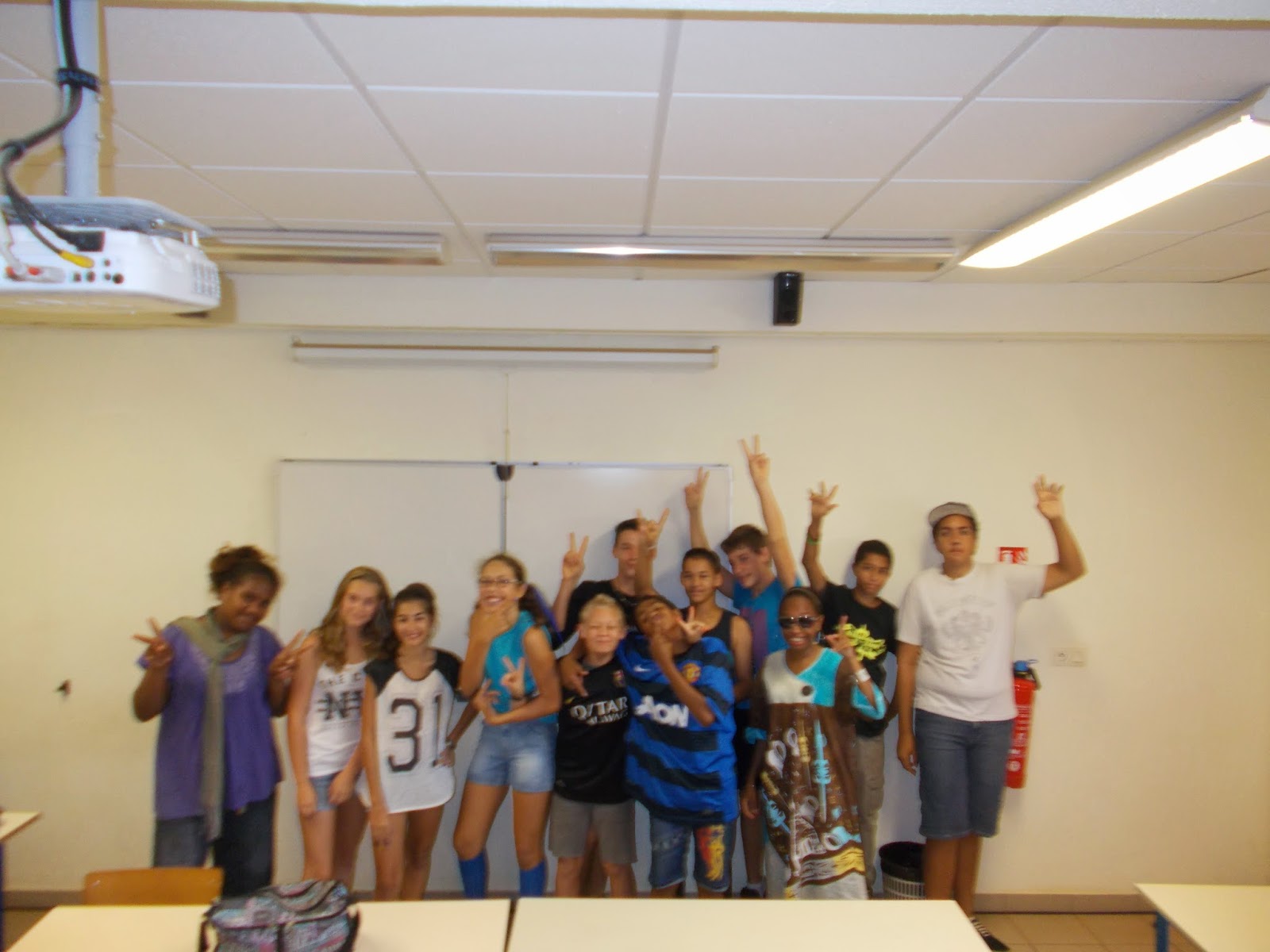 Collège de Plum  2014