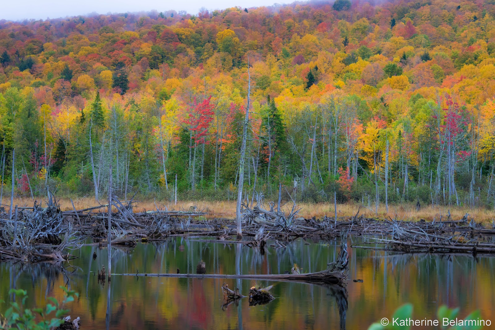 Moose Pond Maine