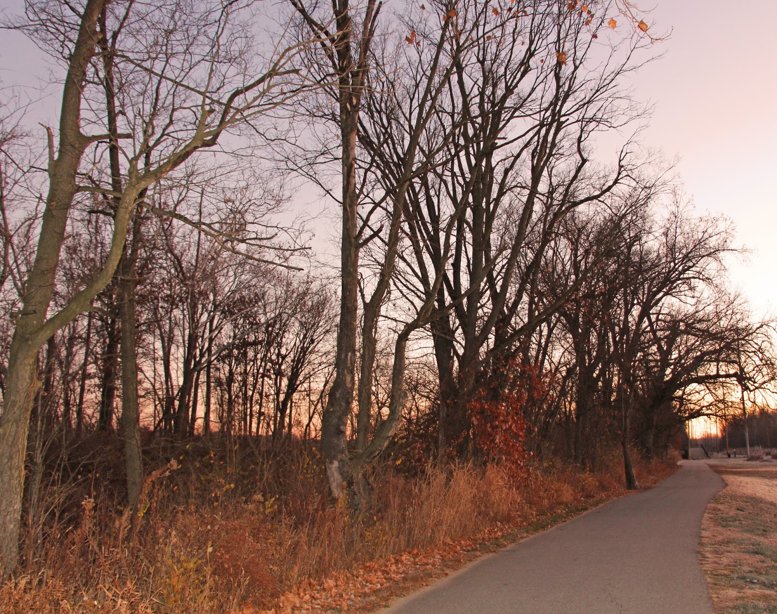 Out and About the Midwest Early Morning Visit to Legacy Park in