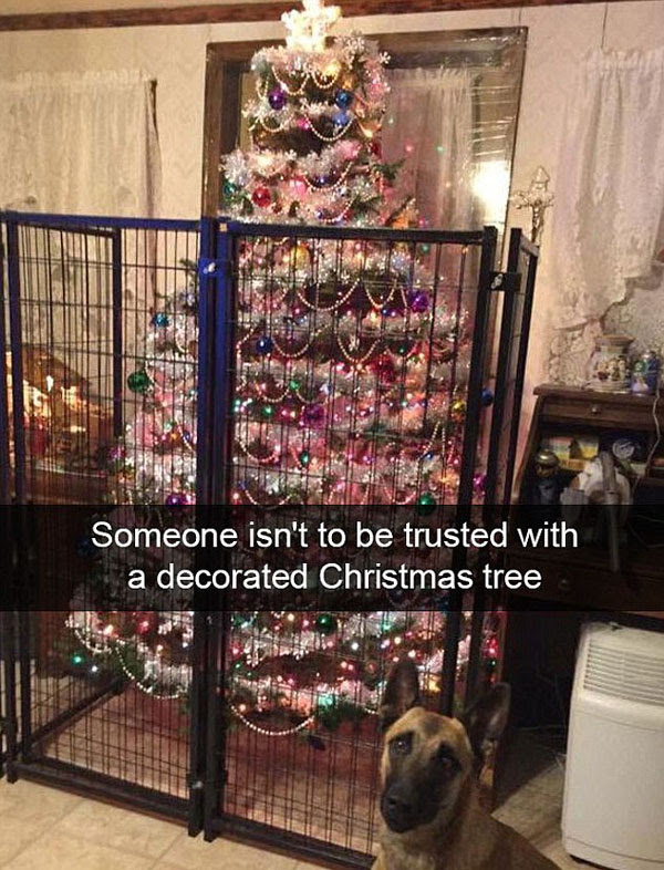 
Christmas-Gone-Wrong Has Never Been So Right (20 Pics).