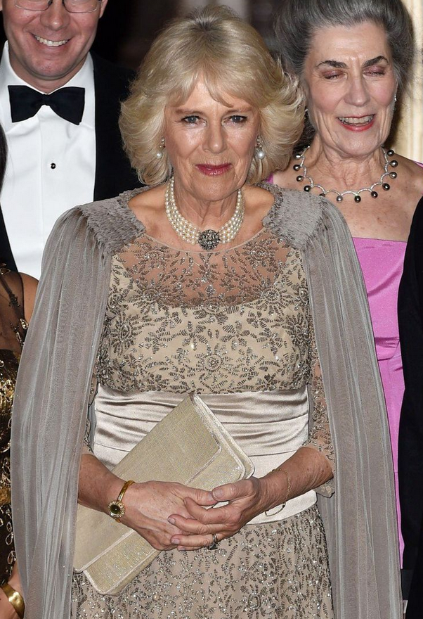 "Royal Family Ties - Camilla