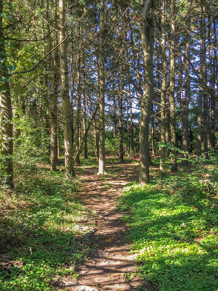 Ice Age Trail Interactive Map Hiking The Ice Age Tail Verona Segment