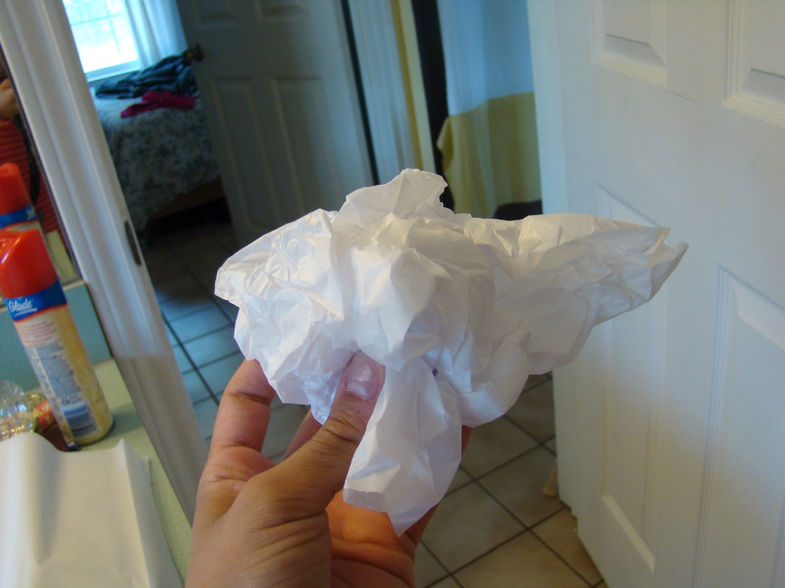 One Life to Love Tissue Paper Walls.