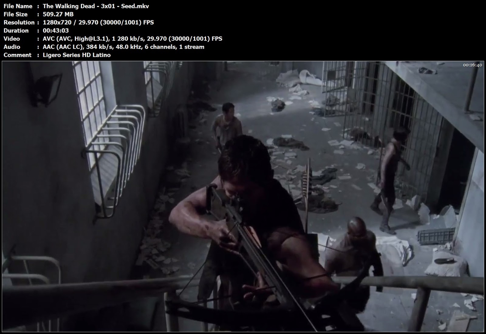 The Walking Dead (2010) Serie Completa 720p Latino The%2BWalking%2BDead%2B-%2B3x01%2B-%2BSeed.mkv