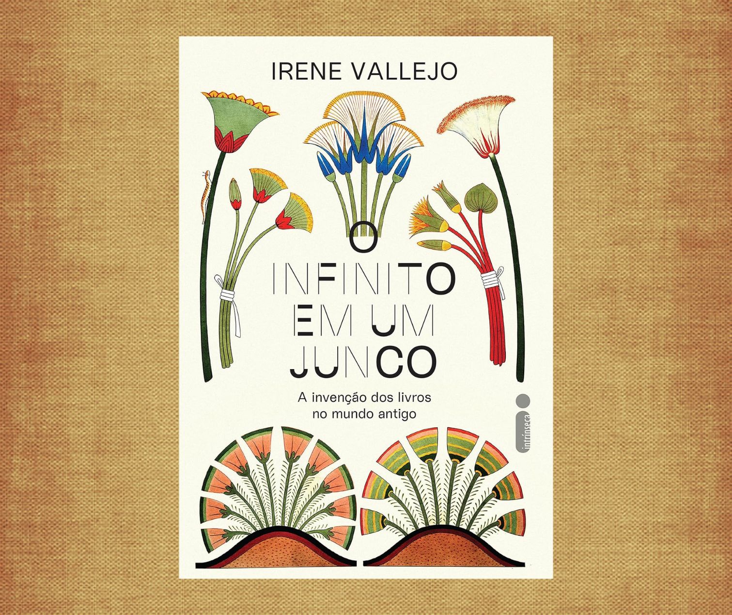 Resenha: O infinito em um junco, de Irene Vallejo