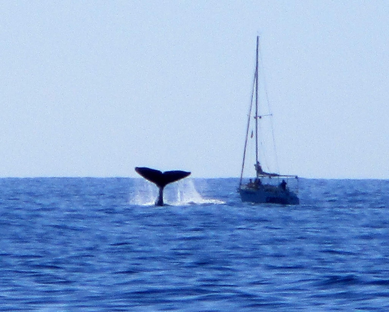 Deb's Days: Cabo San Lucas