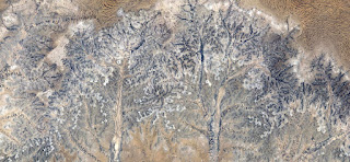 Stone tree plant fantasy,Abstract Naturalism,abstract photography deserts of Africa from the air,abstract surrealism,mirage in desert,fantasy forms and colors in the desert,plants,flowers,leaves,roots Stone tree plant fantasy,Abstract Naturalism,abstract photography deserts of Africa from the air,abstract surrealism,mirage in desert,fantasy forms and colors in the desert,plants,flowers,leaves,roots