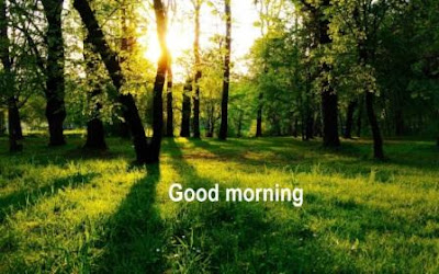 good morning images - sun rays scenery good morning images - sun rays scenery