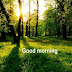 Today's good morning image - Beautiful scenery images