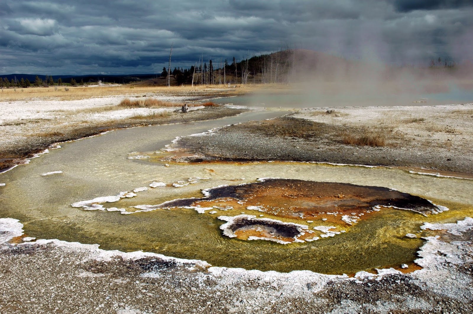 Focusing On Travel Yellowstone Fountain Flat Drive & Beyond
