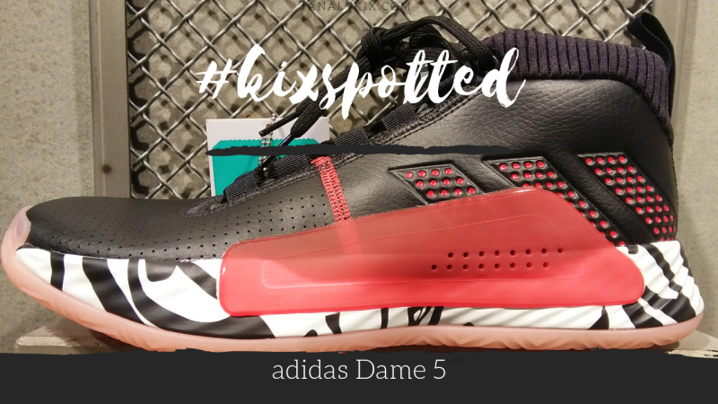 dame 5 in store