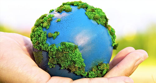 harina transfusión Inconcebible Día mundial del medio ambiente | DiarioRenovables | Energías renovables.  Eólica, solar, fotovoltaica, baterías, movilidad sostenible