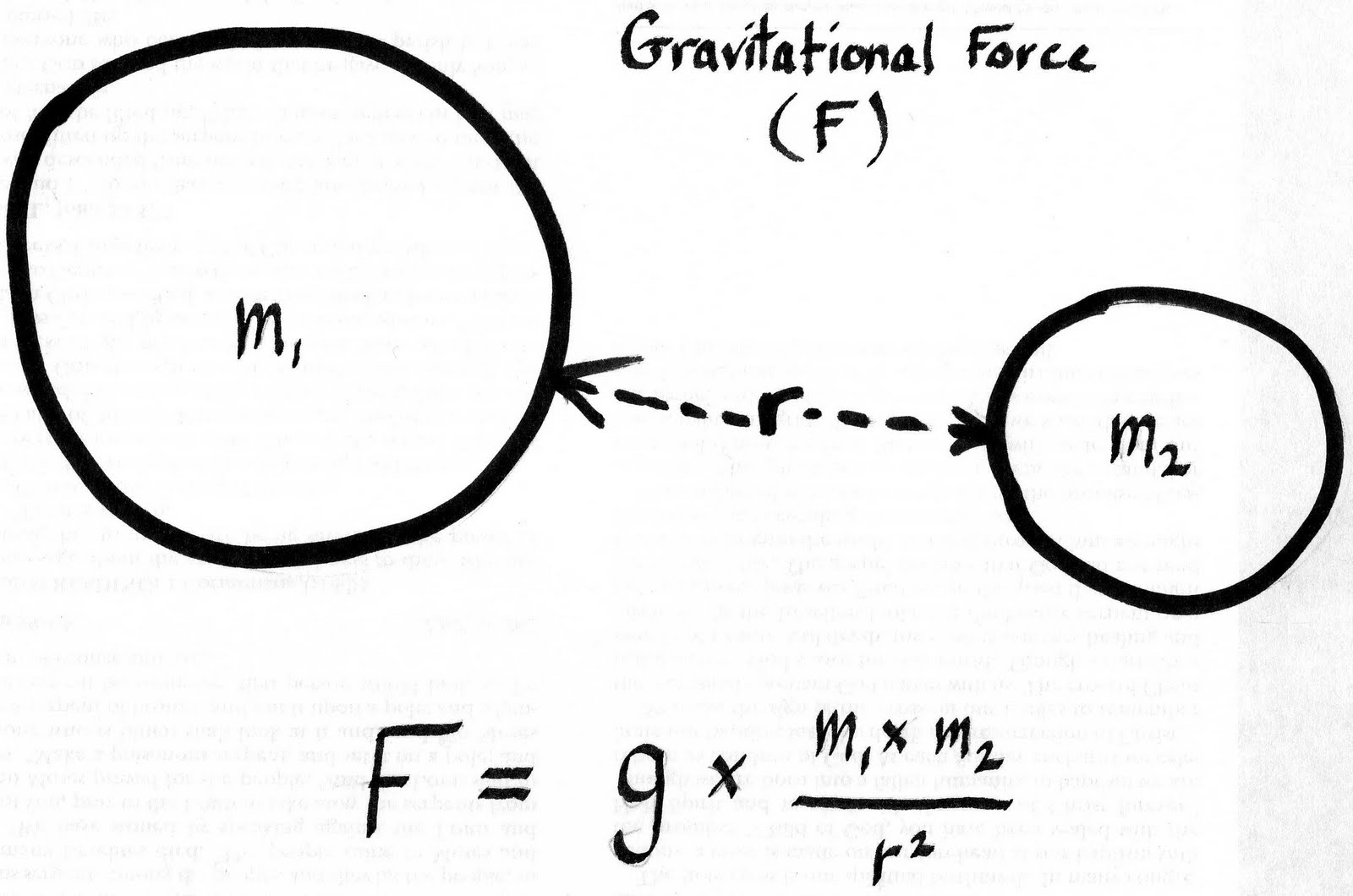 The Gravity of the Name and the Silent Sweat of Maxi Adams