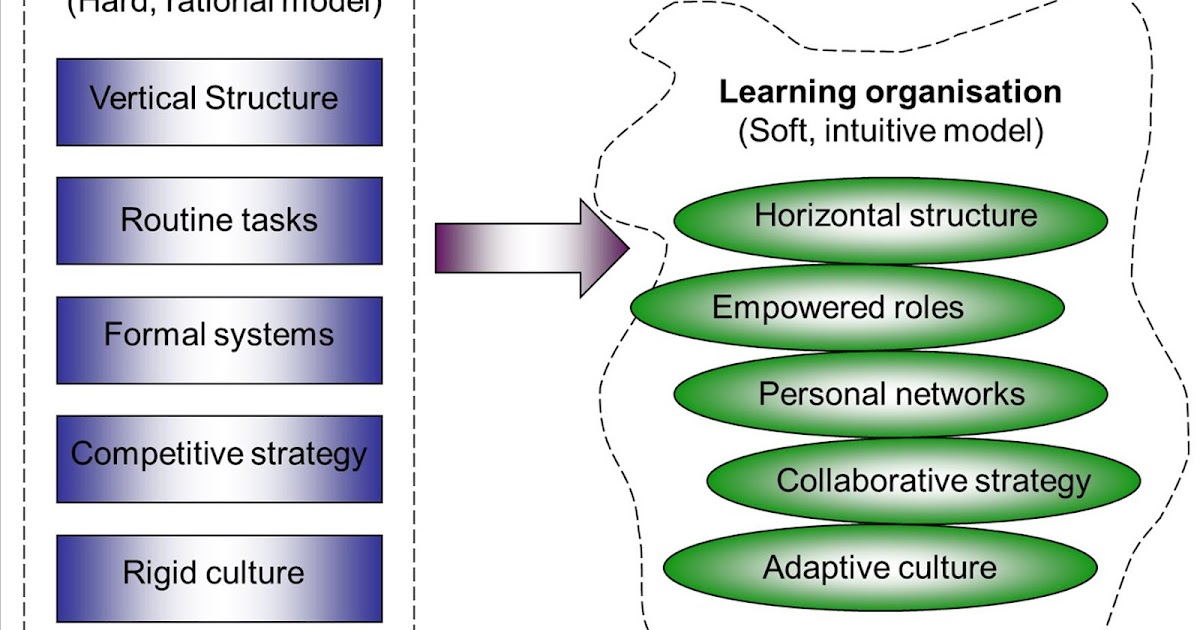 Learning organisation