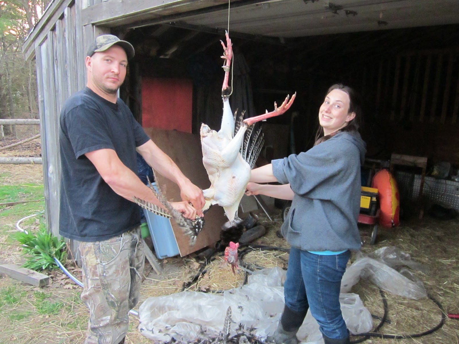 Modern Homesteading Maineah Style An Unexpected Chance For Learning