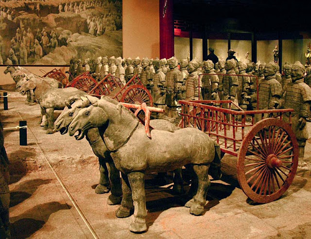 Endearing Terracota Warriors Armies of The Qin Emperor