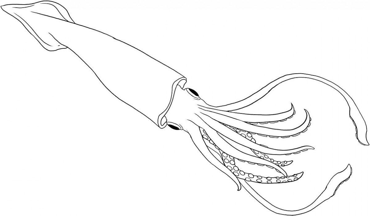 iballisticsquid coloring pages - photo #7