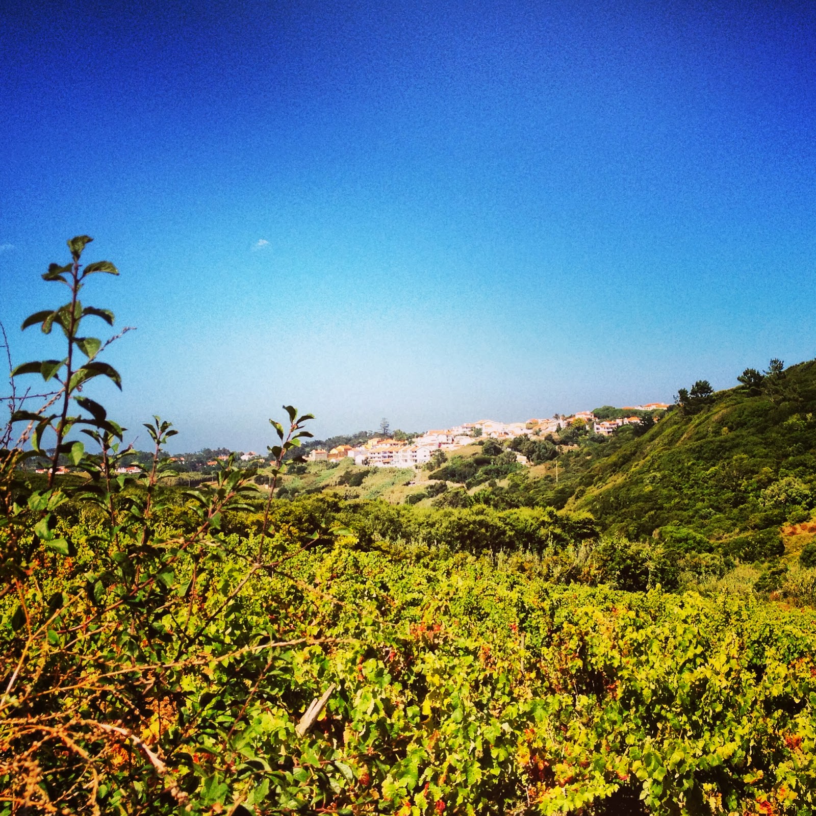 My Upcycled Life Terra Alta Portugal